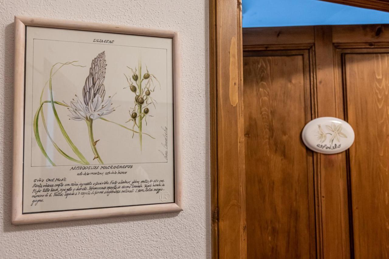La Locanda Di Adele - Il Giardinetto B&B Scarperia Ngoại thất bức ảnh